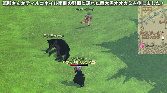 �f�J�C�������B