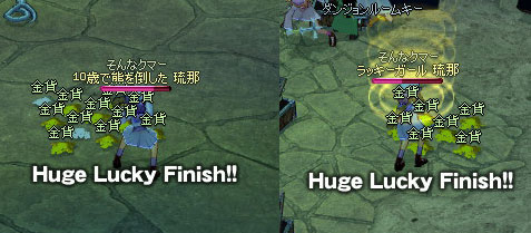 �Ђ�[����t�Ŕ��������f�X�i�L�D�M*�j