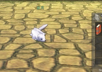 �t�F���b�g�J�����X�B